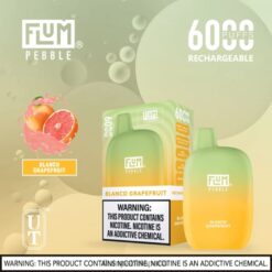 FLUM PEBBLE Flavors | FLUM PEBBLES 6000 bouffées pamplemousse blanc Z40XD10