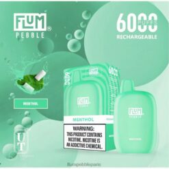 FLUM PEBBLE France | FLUM PEBBLES 6000 bouffées menthol Z40XD57