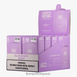 FLUM PEBBLE Vape Clear | FLUM PEBBLES 6000 bouffées 10 paquets menthe myrtille Z40XD18