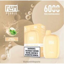 FLUM PEBBLE Vape Clear | FLUM PEBBLES 6000 bouffées glace à la vanille Z40XD84