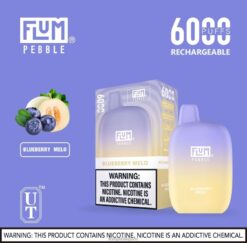 FLUM PEBBLE Vape Review | FLUM PEBBLES 6000 bouffées mélo aux myrtilles Z40XD16