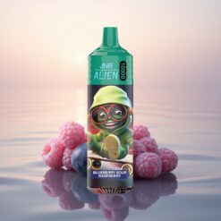 JNR Alien 10000 Framboise Acidulée Myrtille LED RGB