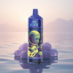 JNR Alien 10000 Myrtille Sur Glace avec LED RGB et Charge Rapide Type-C