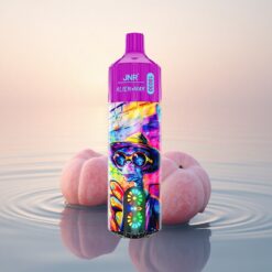 JNR Alien Max 18000 Bonbon Pêche Myrtille Double Mesh 28ml