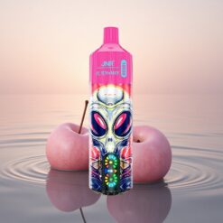 JNR Alien Max 18000 Cerise Baie Dual Mesh 20 Saveurs