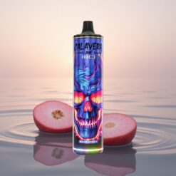 JNR Calavera 11000 Baie Mixte Type-C 850mAh 21ml