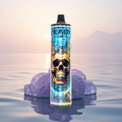 JNR Calavera 11000 Glace Myrtille Type-C 850mAh 21ml