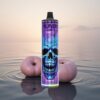 JNR Calavera 11000 Glace Noire Type-C 850mAh 21ml
