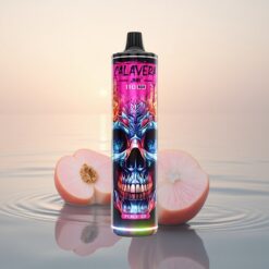 JNR Calavera 11000 Glace de Pêche Type-C 21ml 850mAh