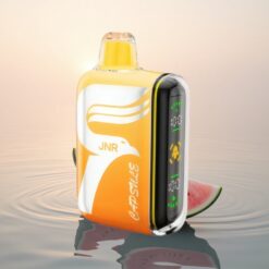 JNR Capsule 15000 Pastèque Irchee 20ml Dual Mesh