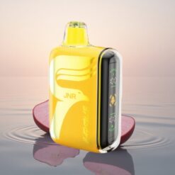 JNR Capsule 15000 Punch Taopical 20ml Dual Mesh 850mAh