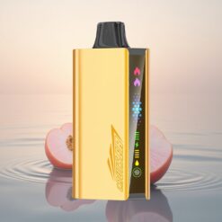 JNR Cruiser 12000 Glace de Pêche Dual Mesh Écran Animé