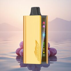 JNR Cruiser 12000 Glace de Raisin avec Batterie Intégrée 3500 mAh et Écran Animé