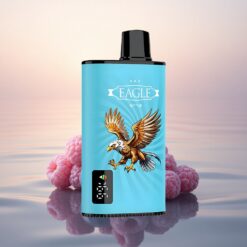 JNR EAGLE Smart 23000 Framboise Acidulée Myrtille avec Écran Numérique et Bobine Mesh 1.0ohm