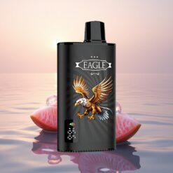 JNR EAGLE Smart 23000 Glace Mangue Cassis avec Écran Digital et Bobine Mesh 1.0ohm