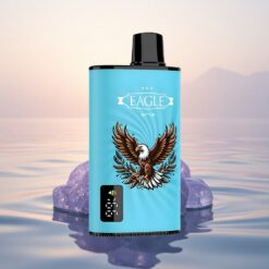 JNR EAGLE Smart 23000 Glace Myrtille Écran Numérique 750mAh