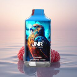 JNR Falcon 16000 Myrtille Framboise Cerise Dual Mesh LED Type C