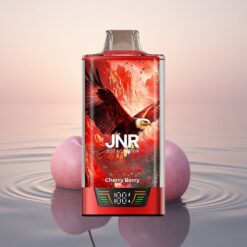 JNR Falcon Pro 28000 Baie Cerise Pro 28000 Puffs Dual Mesh USB-C