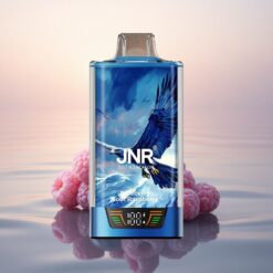 JNR Falcon Pro 28000 Framboise Acidulée Myrtille 30ml 950mAh Dual Mesh