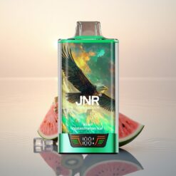 JNR Falcon Pro 28000 Glace Kiwi Pastèque avec Batterie 950mAh et Chargement USB-C