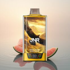 JNR Falcon Pro 28000 Pêche Mangue Pastèque Eau avec 30ml et 950mAh