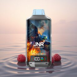 JNR Falcon X 18000 Baies Mixtes 24ml Dual Mesh Type-C