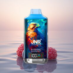 JNR Falcon X 18000 Framboise Myrtille 24ml Dual Mesh