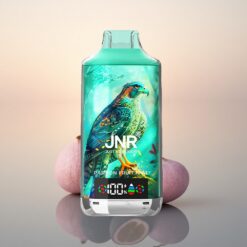 JNR Falcon X 18000 Fruit de la Passion Kiwi 750mAh Dual Mesh Coil Type-C