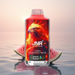 JNR Falcon X 18000 Glace Cerise Pastèque avec Double Mesh et Affichage Numérique