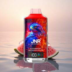 JNR Falcon X 18000 Glace Fraise Pastèque 18000 Puffs 24ml Dual Mesh