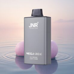 JNR Mega Box 25000 Bubblegum Myrtille Dual Mesh Charge Rapide 30ml