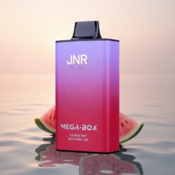 JNR Mega Box 25000 Framboise Pastèque Dual Mesh avec 850mAh et Charge Rapide Type-C