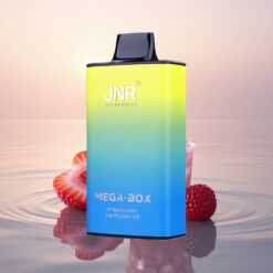 JNR Mega Box 25000 Glace Fraise Framboise Dual Mesh 850mAh Type-C