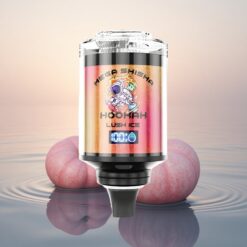 JNR Mega Shisha Hookah 100K Glace Rafraîchissante 2200mAh Écran Intelligent