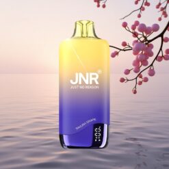 JNR Rainbow 10500 Cerise Raisin 18ml 0.8ohm 600mAh