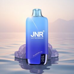 JNR Rainbow 10500 Glace Myrtille Mesh 18ml