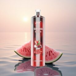 JNR Shisha Hookah 12000 Glacé Cerise Pastèque 750mAh Type-C