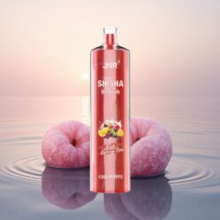 JNR Shisha Hookah 12000 Glace Baie 750mAh Type-C