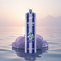 JNR Shisha Hookah 12000 Glace Myrtille 24ml 750mAh