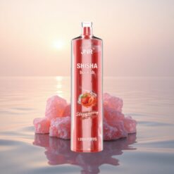 JNR Shisha Hookah 12000 Glace à la Fraise 24ml 750mAh