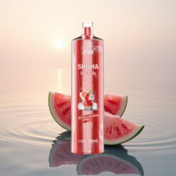 JNR Shisha Hookah 12000 Glace à la Pastèque 750mAh Type-C