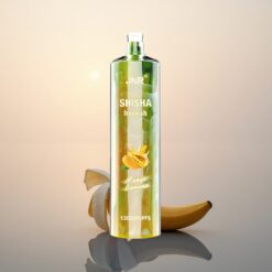 JNR Shisha Hookah 12000 Mangue Banane 24ml 750mAh Type-C