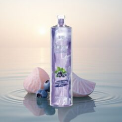 JNR Shisha Hookah 12000 Menthe Myrtille 24ml 750mAh Type-C