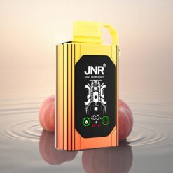 JNR Shisha Hookah Box 20500 Pêches Juteuses HD Affichage Double Mesh 25ml
