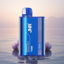 JNR Tank 10000 Myrtille Cassis Affichage Numérique Dual Mesh Charge Rapide Type-C