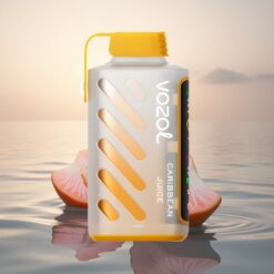 VOZOL Gear Power 20000 Puffs Jus des Caraïbes Double Mesh Écran Plein 20mL