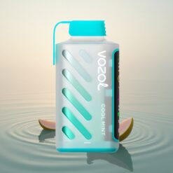 VOZOL Gear Power 20000 Puffs Menthe Fraîche Double Mesh 20mL 5%