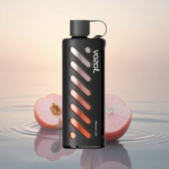 VOZOL Gear Shisha 25000 Puffs Glace de Pêche Dual Mesh Tech