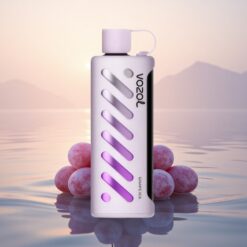 VOZOL Gear Shisha 25000 Puffs Glace de Raisin Double Mesh 1000mAh