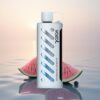 VOZOL Gear Shisha 25000 Puffs Myrtille Pastèque Dual Mesh 1000mAh